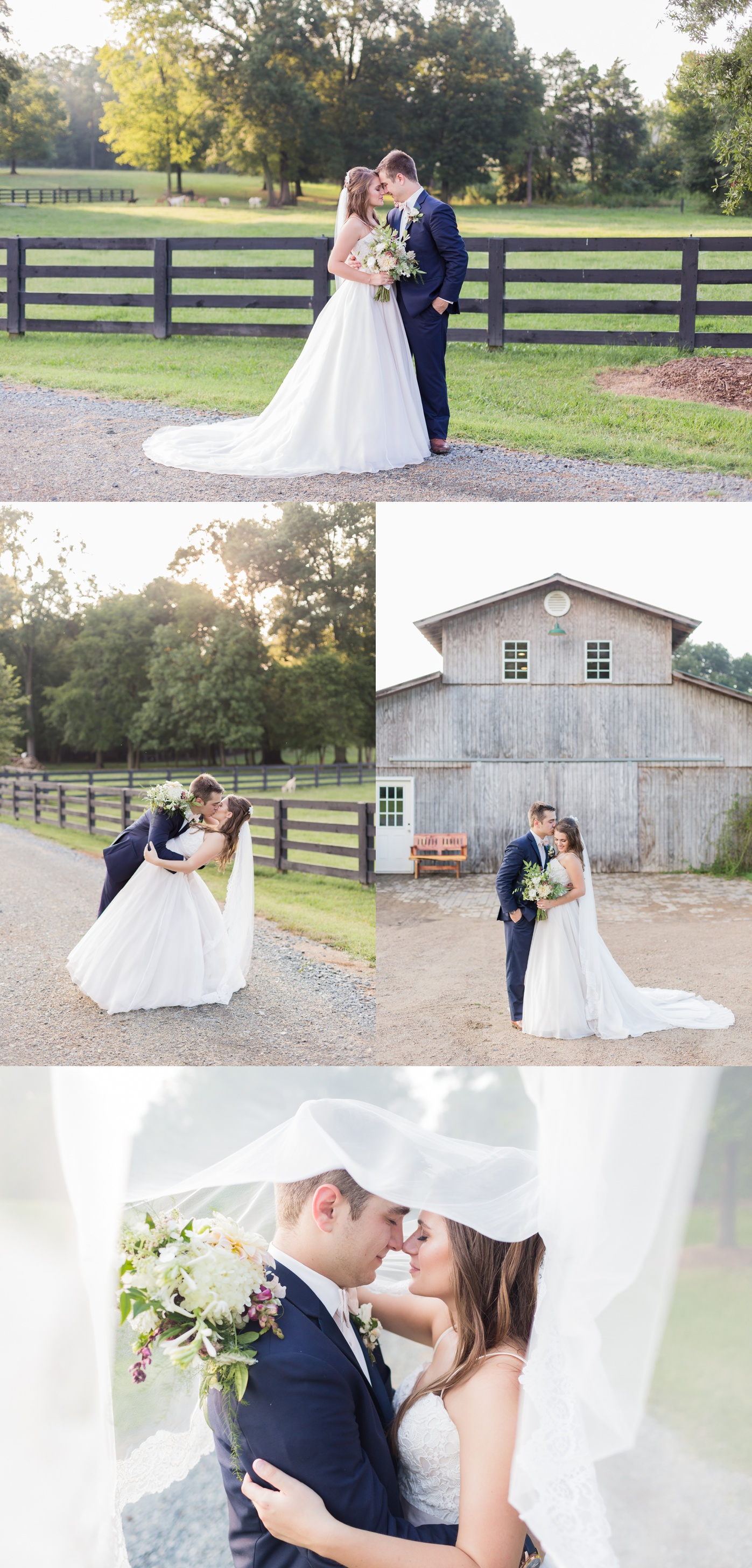 morning glory farm wedding photo blog