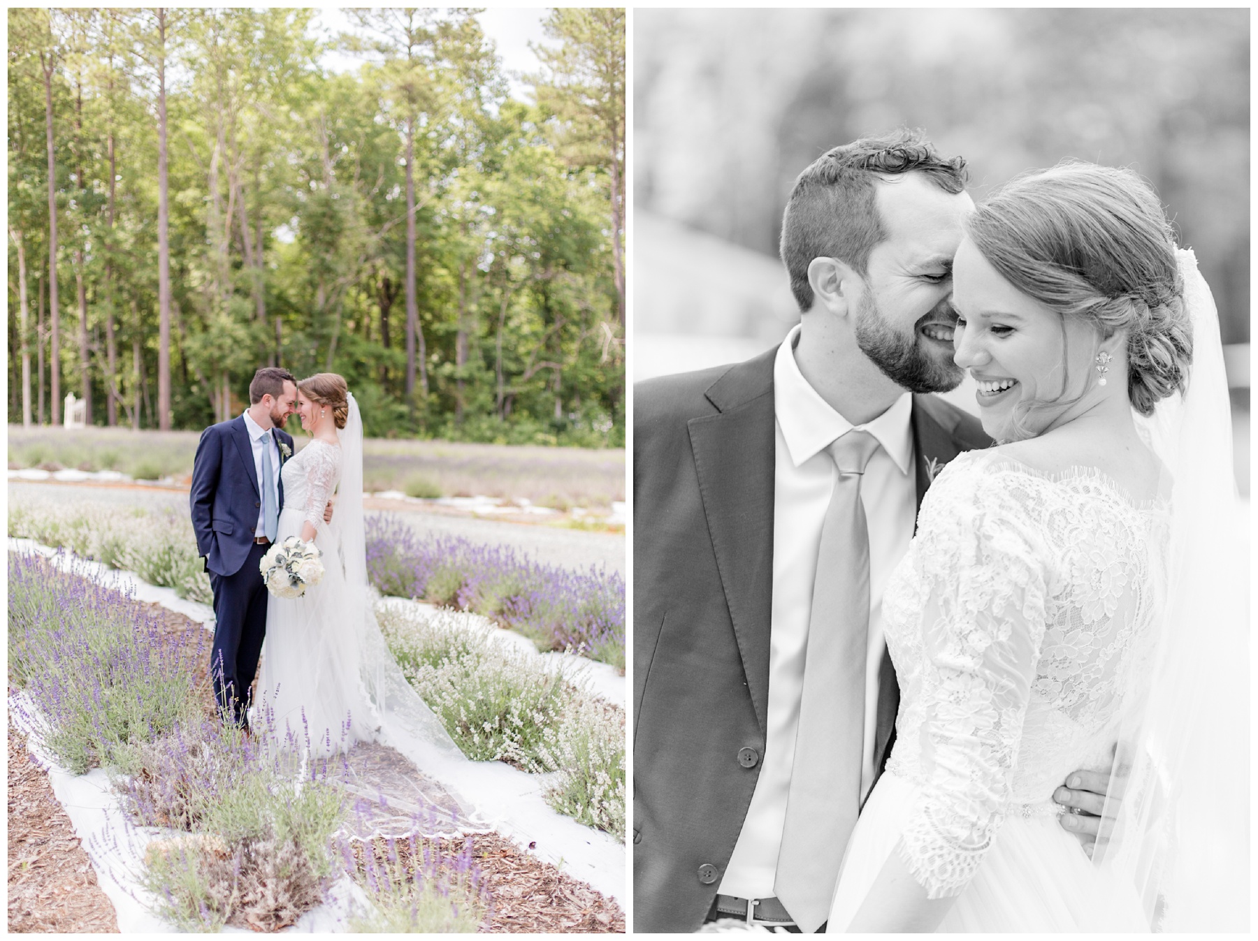 lavender oaks farm wedding photographer